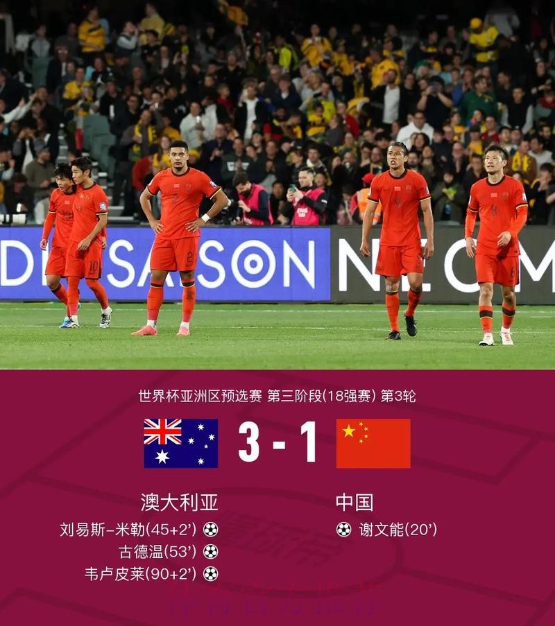 世界杯比分入口入口地址